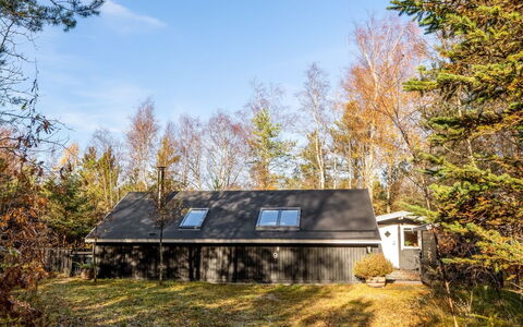 Else - 470M from the Sea: Arbre, Branche, Feuille, Herbe, Bois, Domicile, Chalet, Maison, Toit, Brindille