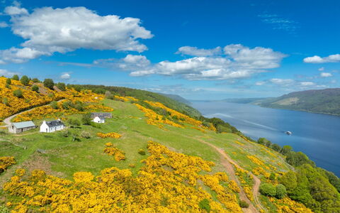 Wester Bunloit: Vert, Montagnes Relief, Jaune, Paysage Naturel, Colline, Montagnes, Paysage, Prairie, Lac, Wildflower