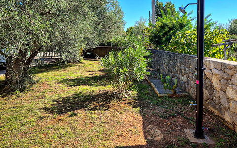 Sandra: Jardin, Aménagement Paysager, Arrière-Cour, Clôture