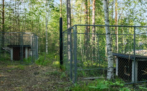 Susiranta: Communauté Des Plantes, Engrener, Forêt, -Link Escrime Chain, Des Bois, Escrime Wire, Clôture, Bosquet, Nord Forest Dur