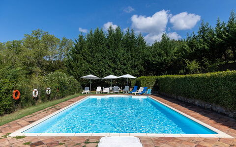 Mulino di Carpineto with Pool Gaiole in Chianti: Piscine, Recours, Mobilier De Jardin, Eco Hôtel, Jardin, Ombre, Balancelle, Aménagement Paysager, Thermes, Hacienda