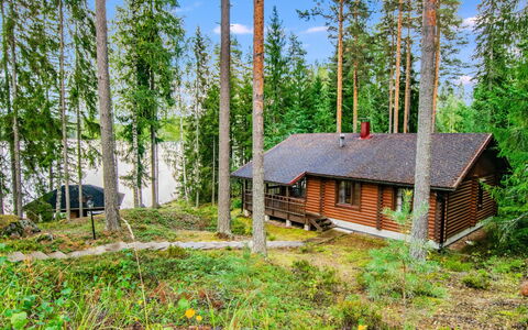 Villa Saimaa: Arbre, Bois, Chalet, Maison, Des Bois, Forêt, Communauté Des Plantes, Cabane En Rondins, Tronc, Mélèze