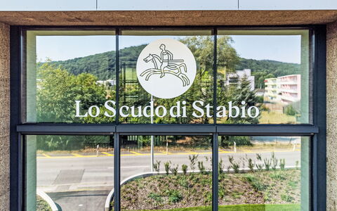 Stabio 1: Design Intérieur, Mur, Sol, Bois, Plafond, Meubles, Sol, Pièce, Éclairage, Appartement