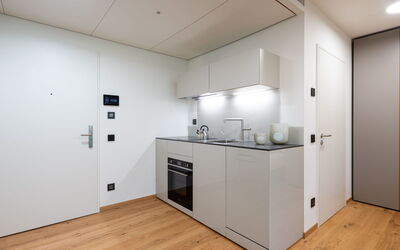 Logement:&nbsp;Lo Scudo di Stabio 1.Zi.studio Nord 1.2