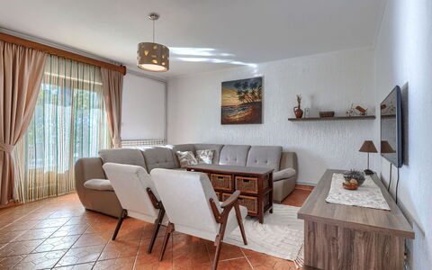 Elli: Design Intérieur, Mur, Sol, Bois, Plafond, Meubles, Sol, Pièce, Éclairage, Appartement