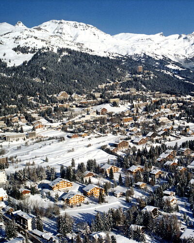 La Roseraie B 24