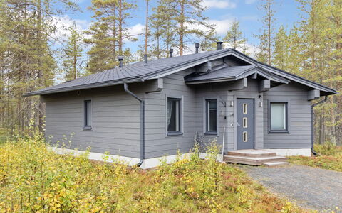 Nuunalahti: Design Intérieur, Mur, Sol, Bois, Plafond, Meubles, Sol, Pièce, Éclairage, Appartement
