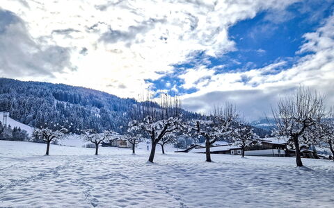 Weerberg 1: Neige, Bleu, L'Hiver, Branche, Paysage, Gelé, Pente, Géologique Phénomène, Brindille, Station De Montagne