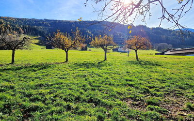 Weerberg 1: Herbe, Vert, Environnement Naturel, Prairie, Paysage Naturel, Plaine, Champ, Pâturage, Été, Paysage