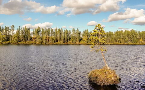 Kultaranta Ii: Ressources En Eau, L'Eau, Plan D'Eau, La Nature, Banque, Réflexion, Lac, Mélèze, Forêt