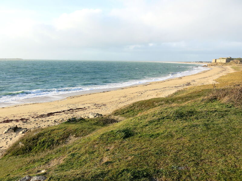 Quiberon 244