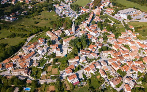 Golden Roots: Zone Résidentielle, Maison, Quartier, Vue Du Ciel, Ville, Paysage, Banlieue, Domicile, Photographie Aérienne, Design Urbain