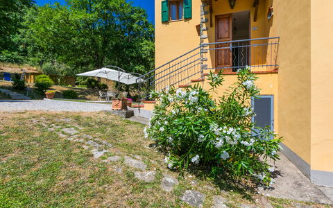 Giorgina: Arbuste, Jardin, Arrière-Cour, Cour, Aménagement Paysager, Biens, Ombre, Hacienda, Dalle, Villa