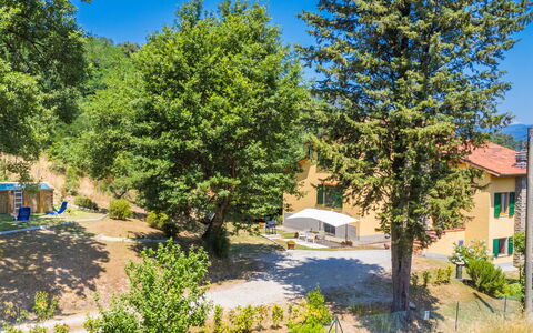 Giorgina: Arbre, Station De Montagne, Chaîne De Montagnes, Mélèze, Vallée, À Feuilles Persistantes, Famille Pine, Village De Montagne
