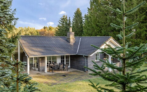Ørger - 30Km from the Sea: Toit, Maison, Domicile, Chalet, Porte, Siding, Plate-Forme, Porche, Planche, Dur