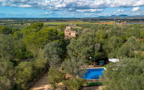 Sa Torreta: Arbre, La Nature, Environnement Naturel, Végétation, Paysage, Zone Rurale, Biens, Plantation, Photographie Aérienne, Vue Du Ciel