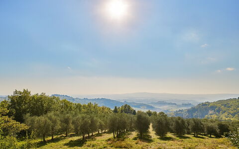 Novellina: Paysage Naturel, Colline, Prairie, Écorégion, Horizon, Paysage, Plaine, Communauté Des Plantes, Région Sauvage, Prairie