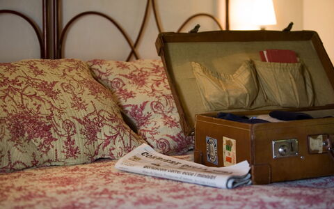 Torre Fantini: Chambre, Literie, Drap De Lit, Linge, Lit, Textile, Meubles, Throw Pillow, Marron, Oreiller
