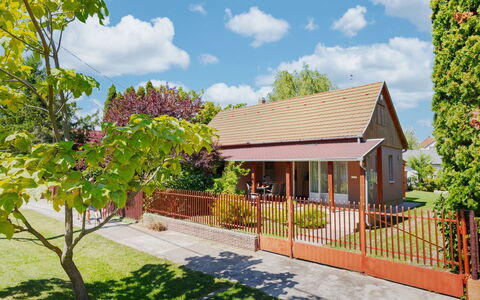 Wild Grape: Maison, Arbuste, Domicile, Chalet, Toit, Jardin, Ombre, Porche, Cour