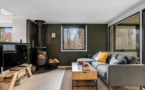 Dreng - from the Sea: Design Intérieur, Mur, Meubles, Sol, Bois, Canapé, Salon, Sol, Plafond, Éclairage