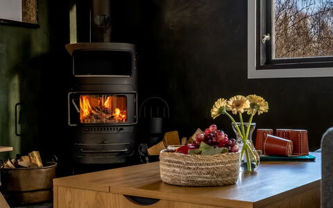 Dreng - from the Sea: Meubles, Appareil De Cuisine, Foyer, Poêle À Bois, Chaleur, Électroménager, Tache De Bois, Salon, Cheminée, Dur
