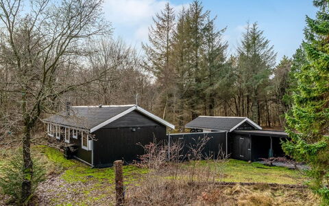 Dreng - from the Sea: Arbre, Branche, Bois, Maison, Toit, Chalet, Domicile, Zone Rurale, Lot Terre, Brindille