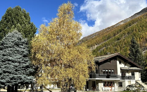 Sunstar: Arbre, Branche, Maison, Domicile, Chalet, Mélèze, L'Hiver, Chaîne De Montagnes, Pente, Village