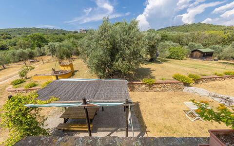 Campiglia Marittima 649: Paysage, Zone Rurale, Lot Terre
