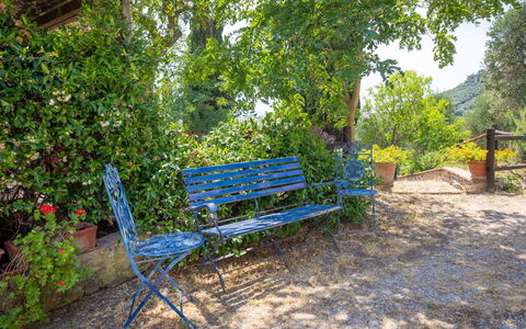 Campiglia Marittima 649: Bleu, Extérieur Banc, Meubles, Mobilier De Jardin, Banc, Jardin, Couverture De Sol, Ombre, Parc