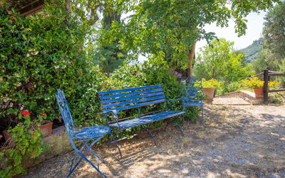 Campiglia Marittima 649