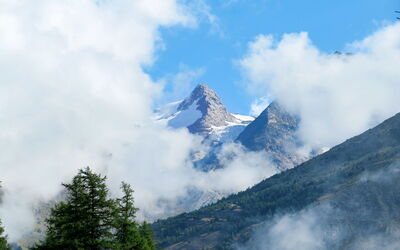 Waldhotel Fletschhorn Saas-Fee
