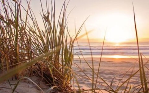 De Bosuil: Plage, Mer, Côte, Matin, Lever Du Soleil, Le Sable, Rive, Océan, Lumière Du Soleil, Le Coucher Du Soleil