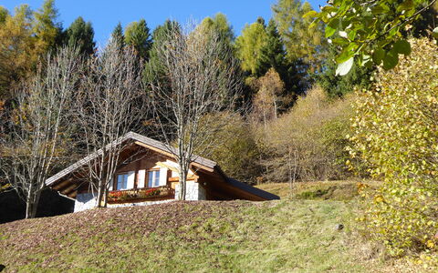 Chalet Genzianella: Herbe, Arbre, Bois, Maison, Toit, Chalet, Architecture, Zone Rurale, Arbuste, Domicile