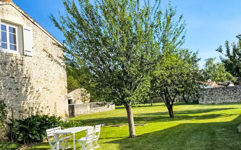 Geay 600: Feuille, Branche, Printemps, Brindille, Ombre, Jardin, Suppression Des Plantes Ligneuses, Pelouse, Cour, Aménagement Paysager