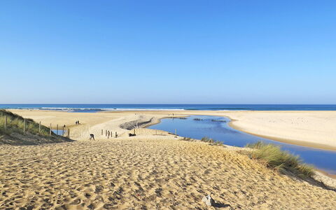 Villa Dune: Environnement Naturel, Plage, Le Sable, Côte, Horizon, Rive, Cotiers Et Relief Océaniques, Écorégion, Mer