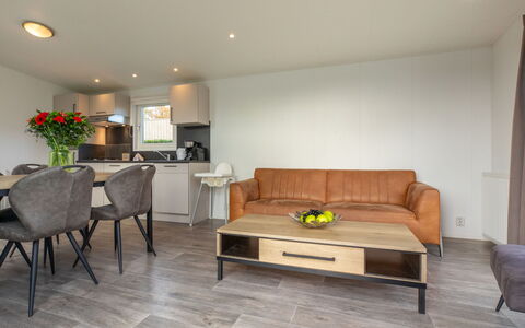 Hart Van Zeeland: Appartement, Dur, Tache De Bois, Parquet, Conception, Salon, Canapé, Plante D'Appartement, Planche