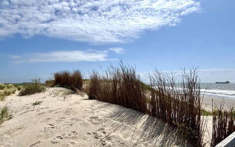 Hart Van Zeeland: Environnement Naturel, Horizon, Écorégion, Le Sable, Plage, Côte, Cotiers Et Relief Océaniques, Rive, Mer, Océan