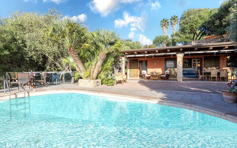 Casanova: Piscine, L'Eau, Arbre, Mobilier De Jardin, Recours, Meubles, Loisir, Eco Hôtel, Ombre, Chaise