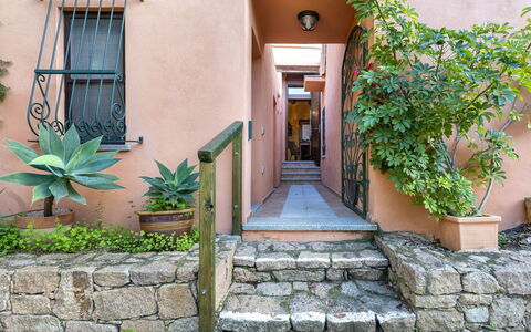 Casanova: Mur, Porte, Pot De Fleur, Domicile, Plante D'Appartement, Jardin, Escaliers, Aménagement Paysager, Cour, Dalle
