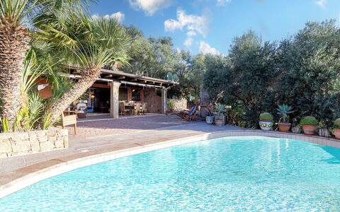 Casanova: Bleu, Piscine, L'Eau, Recours, Mobilier De Jardin, Eco Hôtel, Loisir, Hôtel, Hacienda, Ombre