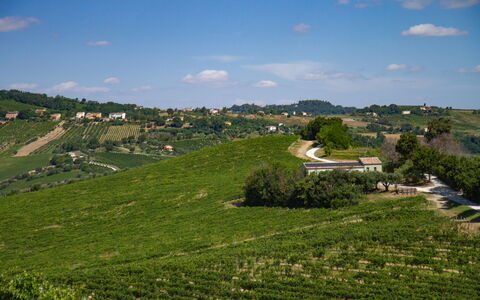 Villa Zena: Vert, Agriculture, Champ, Plantation, Zone Rurale, Plaine, Prairie, Paysage, Lot Terre