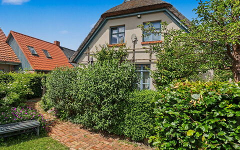 Reetgedecktes Ferienhaus Seelchen: Vert, Mur, Arbuste, Maison, Zone Résidentielle, Jardin, Domicile, Haie, Couverture De Sol