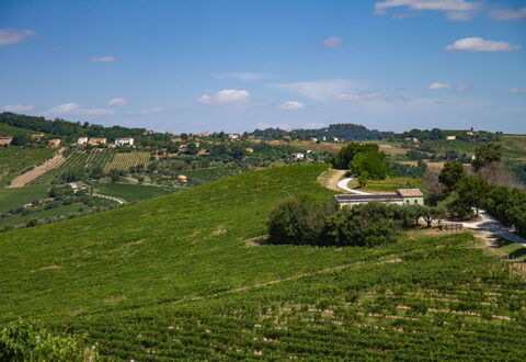 Zena Apartment: Vert, Agriculture, Champ, Plantation, Zone Rurale, Plaine, Prairie, Paysage, Lot Terre