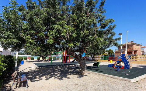 Valenciano: Ciel, Plante, Design Urbain, Ombre, Loisir, Arbre, Surface De La Route, Asphalte, Paysage, À Feuilles Persistantes