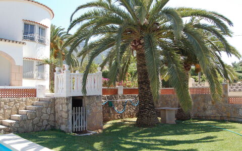 Casa Pia: Arbre, Palmier, Propriété, Arecales, Palmier Dattier, Architecture, Maison, Plante, Bâtiment, Suppression Des Plantes Ligneuses