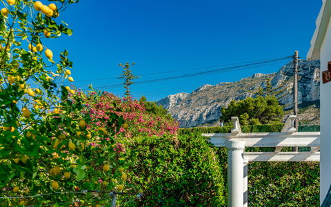 Casa Pia: Ciel, Fleur, Plante, Feuille, Bleu Azur, Végétation, Biome, Paysage Naturel, Suppression Des Plantes Ligneuses, Pente