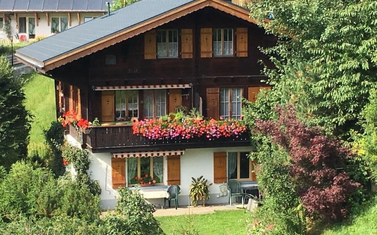 Chalet Birkli