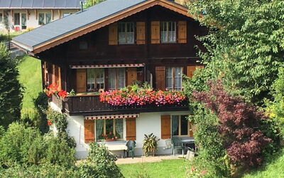 Chalet Birkli