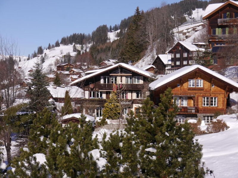 Chalet Birkli