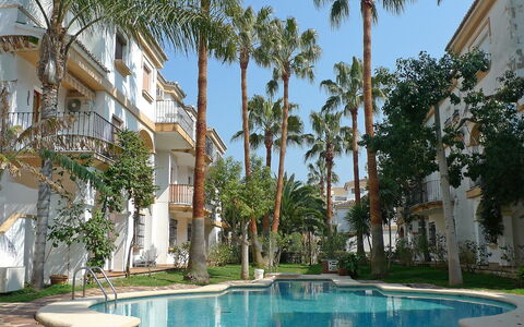 El Patio: L'Eau, Plante, Bâtiment, Propriété, Ciel, Arbre, Fenêtre, Piscine, Arecales, Zone Résidentielle